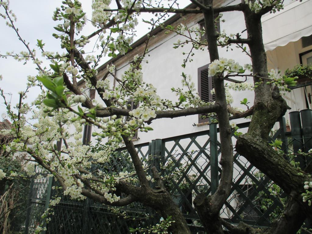 Dimora & Arte B&B Canneto sull'Oglio Luaran gambar