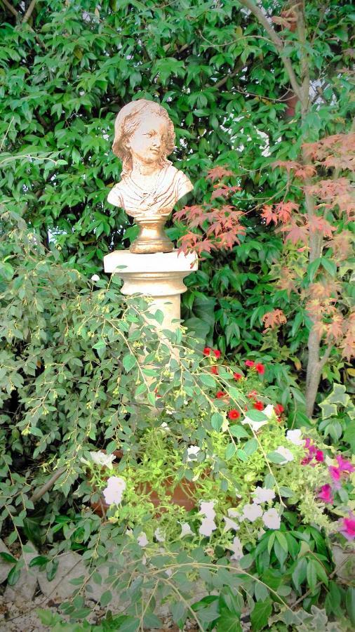 Dimora & Arte B&B Canneto sull'Oglio Luaran gambar